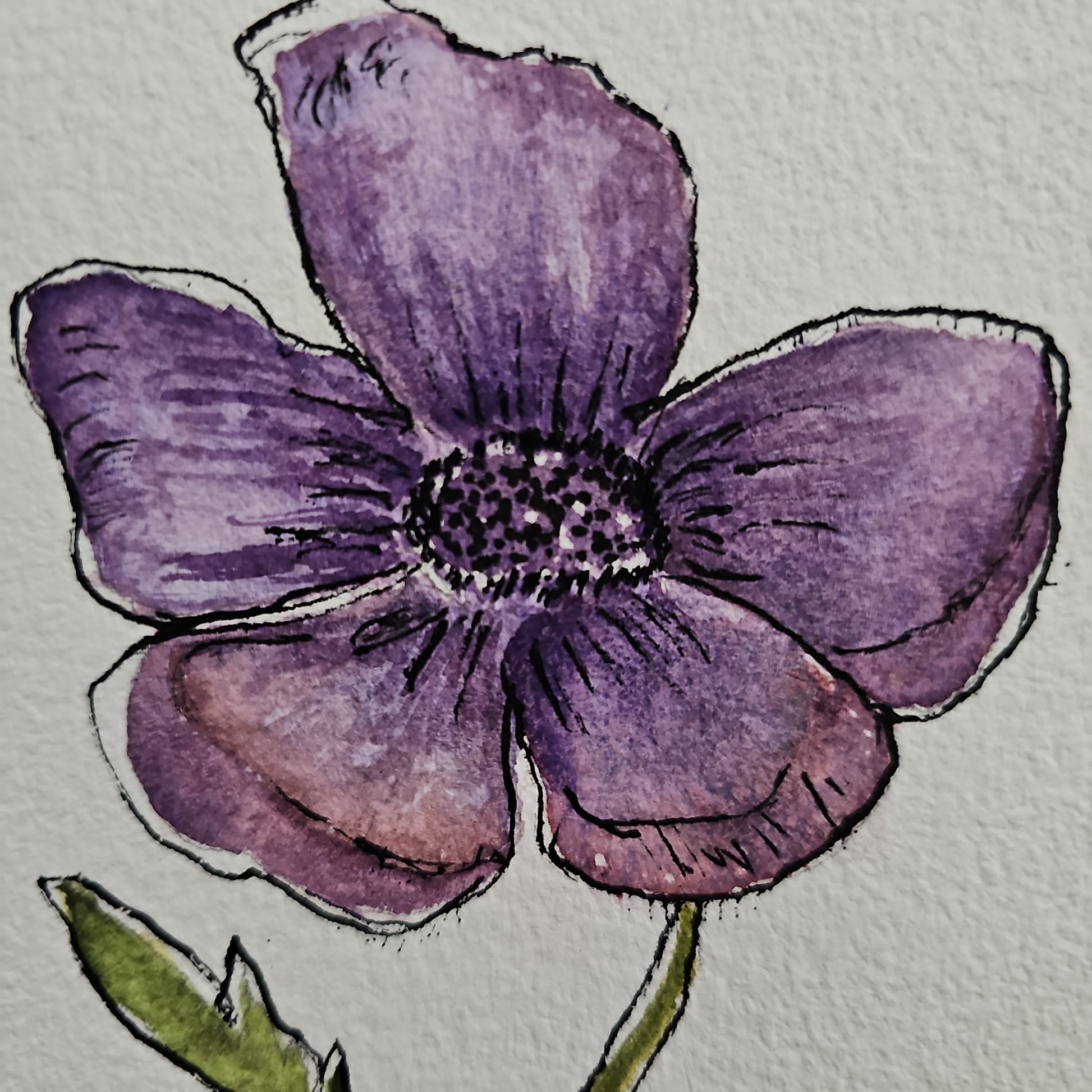 ANEMONE - Lion Pride Art & Watercolors