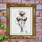 COTTON BLOSSOMS N°2 - Lion Pride Art & Watercolors
