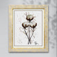 COTTON BLOSSOMS N°2 - Lion Pride Art & Watercolors