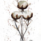 COTTON BLOSSOMS N°2 - Lion Pride Art & Watercolors