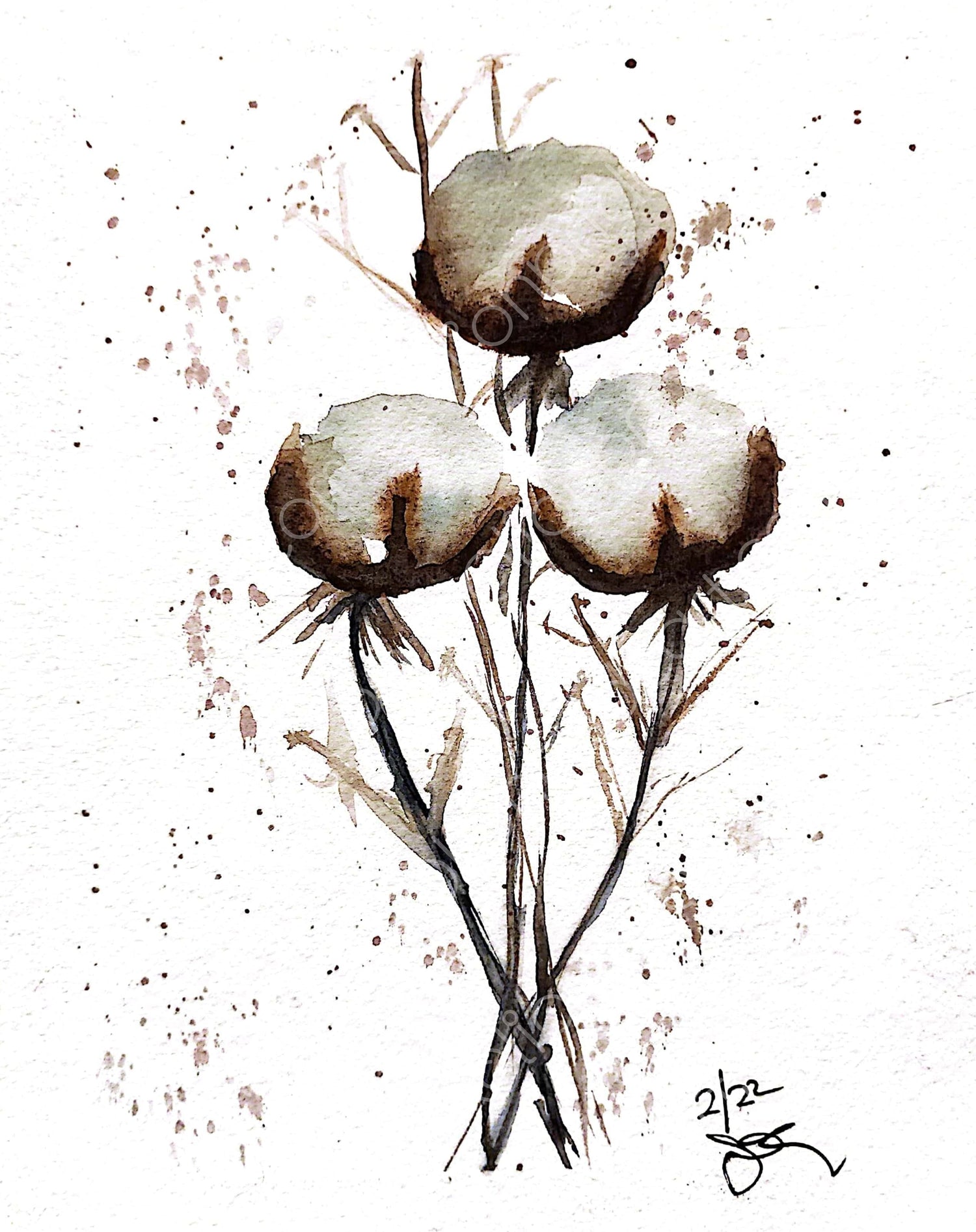 COTTON BLOSSOMS N°2 - Lion Pride Art & Watercolors