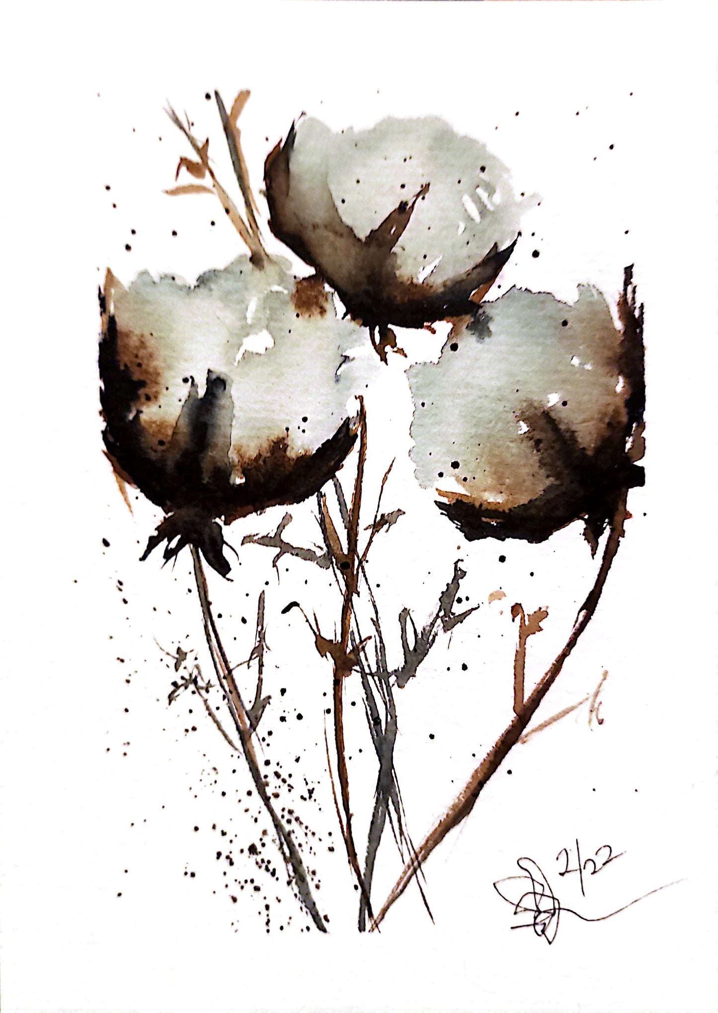 COTTON BLOSSOMS N°5 - Lion Pride Art & Watercolors