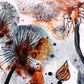 DANDELION N° 1 - Lion Pride Art & Watercolors