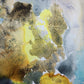 LIFE IN THE GOLDEN SUN - Lion Pride Art & Watercolors