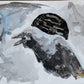 MIDNIGHT CROW - Lion Pride Art & Watercolors