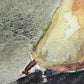 PEARS - Lion Pride Art & Watercolors