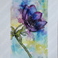 PURPLE PANSY - Lion Pride Art & Watercolors