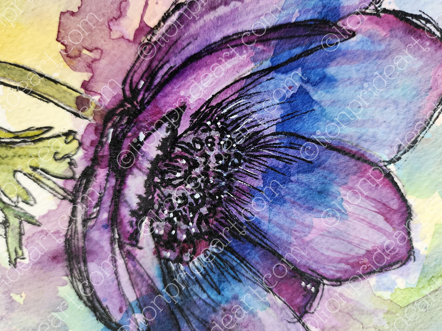 PURPLE PANSY - Lion Pride Art & Watercolors