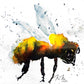 UN-"BEE"-LIEVABLE - Lion Pride Art & Watercolors
