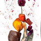 WELL SPRUNG - Lion Pride Art & Watercolors