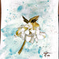 WHITE HELLEBORE FLOWER - Lion Pride Art & Watercolors