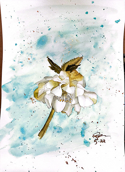 WHITE HELLEBORE FLOWER - Lion Pride Art & Watercolors