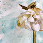 WHITE HELLEBORE FLOWER - Lion Pride Art & Watercolors