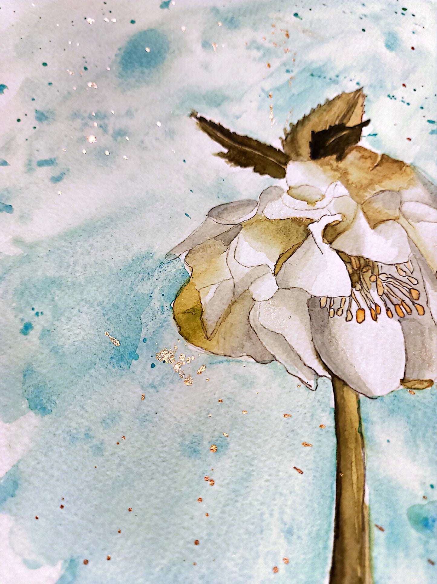 WHITE HELLEBORE FLOWER - Lion Pride Art & Watercolors