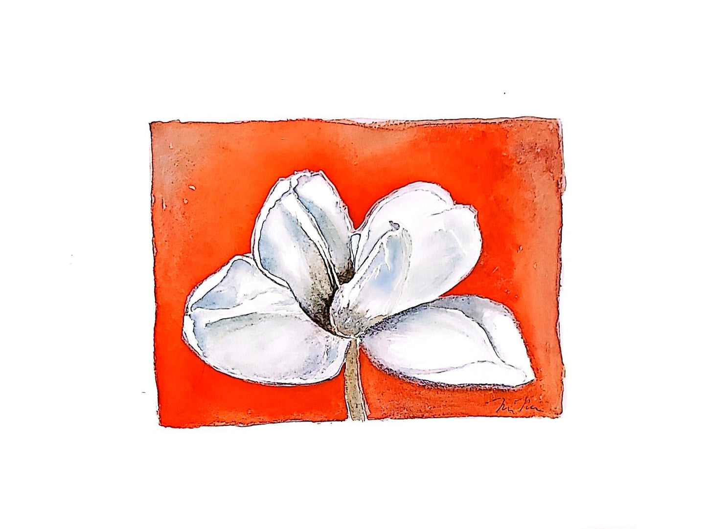 WHITE MAGNOLIA - Lion Pride Art & Watercolors