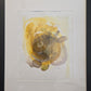 YELLOW NEBULA - Lion Pride Art & Watercolors